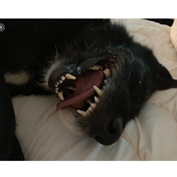 TOP Quality Items Only at Buy It Now Prices💃😎 - Picture 5 of 11